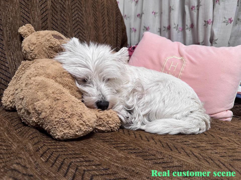 Water Resistance Chenille Sofa Cover, Pet Couch Protector, Non-Slip Sectional Throw, Washable